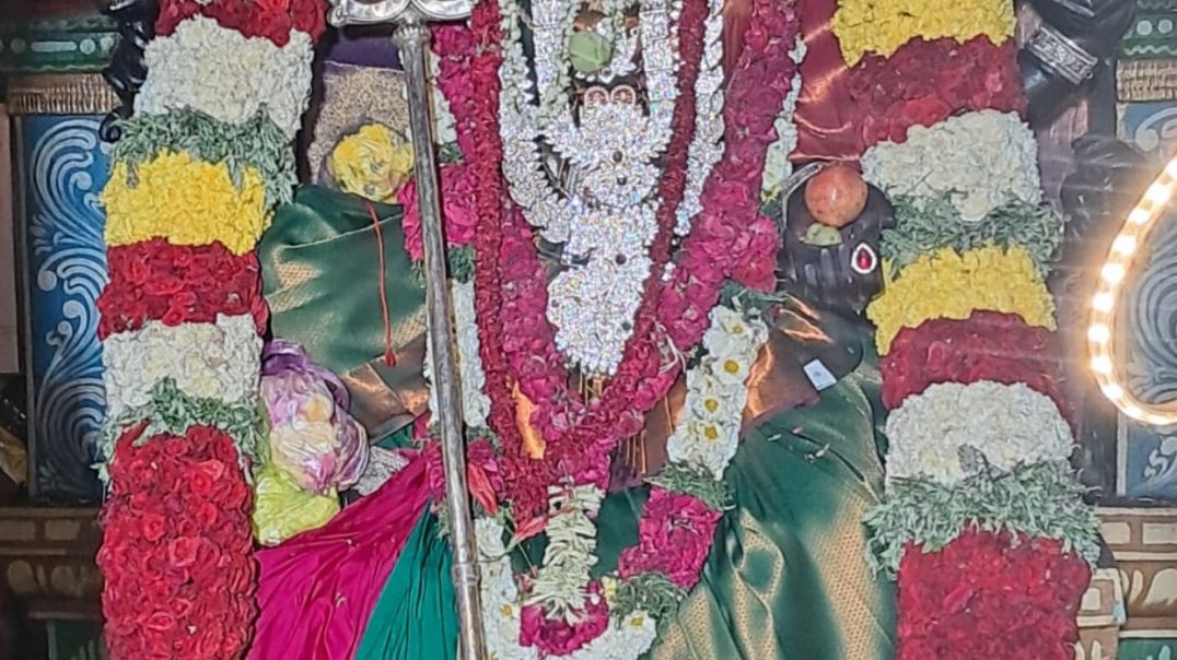 (மஹிசாரமர்தினி எனும் வடபத்திரகாளி ஆலயம்)